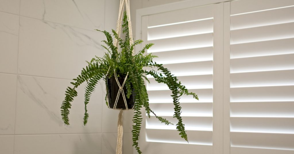 Custom Plantation Shutters In The Ponds
